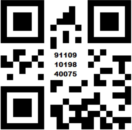 QR code to switch the Scan to Pay app to the test environment